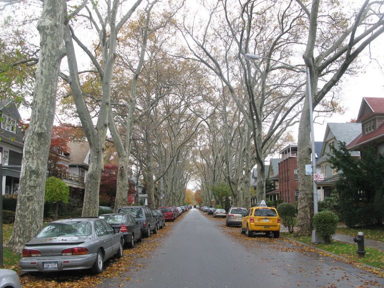 Ditmas Park